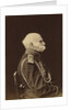 Portrait of Count Fyodor Petrovich Litke, 1874 by Anonymous