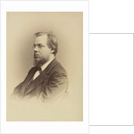 Portrait of Doctor Sergey Petrovich Botkin, c. 1874 by Anonymous