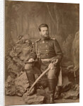 Portrait of Grand Duke Vladimir Alexandrovich of Russia, ca 1878 by Anonymous