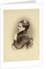 Portrait of Countess Sophia Andreevna Tolstaya, c. 1874 by Anonymous