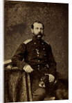 Portrait of Emperor Alexander II, 1873 by Anonymous