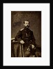 Portrait of Emperor Alexander II, 1873 by Anonymous