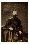 Portrait of Emperor Alexander II, 1873 by Anonymous