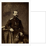 Portrait of Emperor Alexander II, 1873 by Anonymous