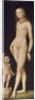 Venus and Cupid, ca 1530 by Anonymous