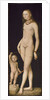Venus and Cupid, ca 1530 by Anonymous