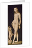 Venus and Cupid, ca 1530 by Anonymous