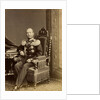 Portrait of General Fyodor Fyodorovich Trepov, c. 1874 by Anonymous