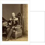 Portrait of General Fyodor Fyodorovich Trepov, c. 1874 by Anonymous
