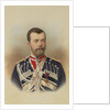 Portrait of Emperor Nicholas II, c. 1895 by Anonymous