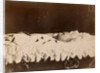 Emperor Alexander III on His Deathbed, 1894 by Anonymous