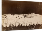 Emperor Alexander III on His Deathbed, 1894 by Anonymous