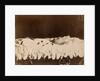 Emperor Alexander III on His Deathbed, 1894 by Anonymous