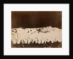 Emperor Alexander III on His Deathbed, 1894 by Anonymous