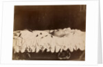 Emperor Alexander III on His Deathbed, 1894 by Anonymous