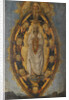 The Immaculate Conception by Anonymous