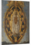 The Immaculate Conception by Anonymous
