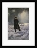 Portrait of the Arctic explorer Baron Adolf Erik Nordenskiöld, 1886 by Anonymous