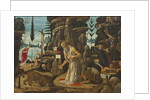 The Penitent Saint Jerome by Anonymous