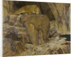 The Sphinx, 1887 by Anonymous