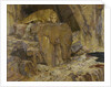 The Sphinx, 1887 by Anonymous