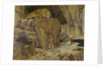 The Sphinx, 1887 by Anonymous