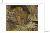 The Sphinx, 1887 by Anonymous