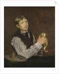 Young Boy Peeling a Pear by Anonymous