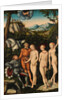 The Judgement of Paris, 1528 by Anonymous