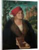 Portrait of Dr. Johannes Cuspinian, c. 1502-1503 by Anonymous