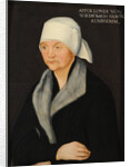 Portrait of Apollonia von Wiedebach, ca 1524 by Anonymous