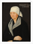 Portrait of Apollonia von Wiedebach, ca 1524 by Anonymous