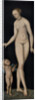 Venus with Cupid the Honey Thief, after 1537 by Anonymous