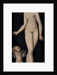 Venus with Cupid the Honey Thief, after 1537 by Anonymous