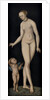 Venus with Cupid the Honey Thief, after 1537 by Anonymous