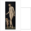 Venus with Cupid the Honey Thief, after 1537 by Anonymous