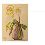 Flower still life, 1909 by Anonymous