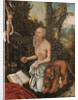 Saint Jerome, ca 1516-1518 by Anonymous
