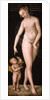 Venus with Cupid the Honey Thief, after 1537 by Anonymous