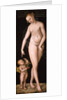 Venus with Cupid the Honey Thief, after 1537 by Anonymous