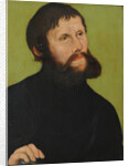 Portrait of Luther as Junker Jörg, 1521 by Anonymous
