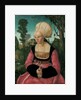 Portrait of Anna Cuspinian, 1502 by Anonymous