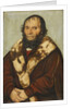 Portrait of Johannes Scheyring, 1529 by Anonymous