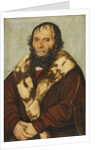 Portrait of Johannes Scheyring, 1529 by Anonymous
