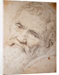Portrait of Michelangelo Buonarroti, c. 1550 by Anonymous