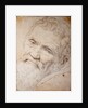 Portrait of Michelangelo Buonarroti, c. 1550 by Anonymous