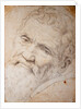Portrait of Michelangelo Buonarroti, c. 1550 by Anonymous