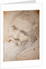 Portrait of Michelangelo Buonarroti, c. 1550 by Anonymous