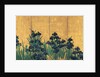 Irises, 18th century by Anonymous