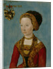 Portrait of a bride, ca 1502-1504 by Anonymous